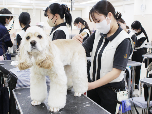 ２年生はお客様の愛犬とスキルアップ♪